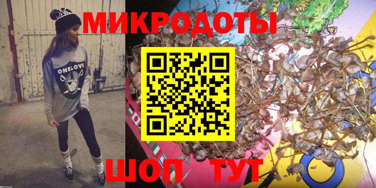 Псилоцибиновые грибы мицелий Гулькевичи