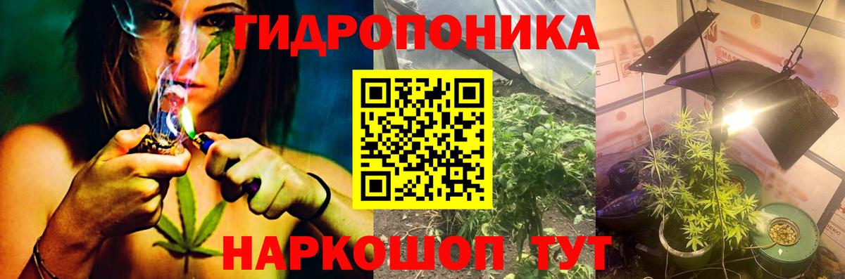 Бошки Шишки VHQ Гулькевичи